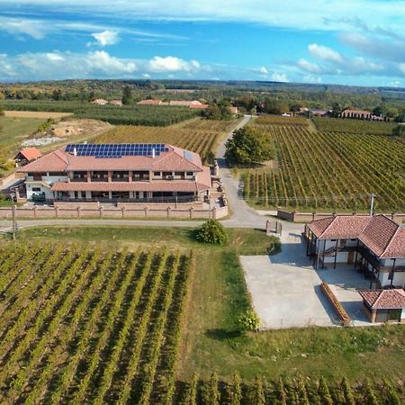 Ebner Pince - Panzio Bed and Breakfast Turbékpuszta Buitenkant foto