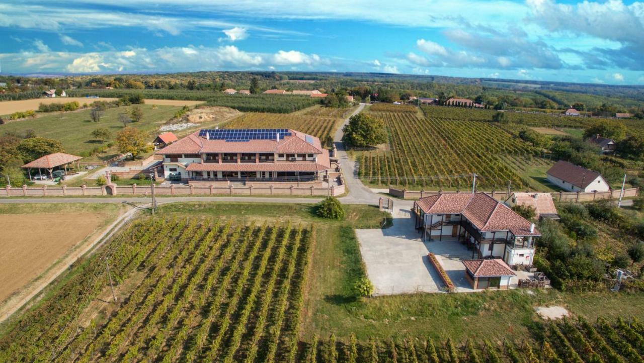 Ebner Pince - Panzio Bed and Breakfast Turbékpuszta Buitenkant foto